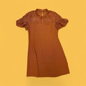 Endless Rose Lace Mini Dress in Rust